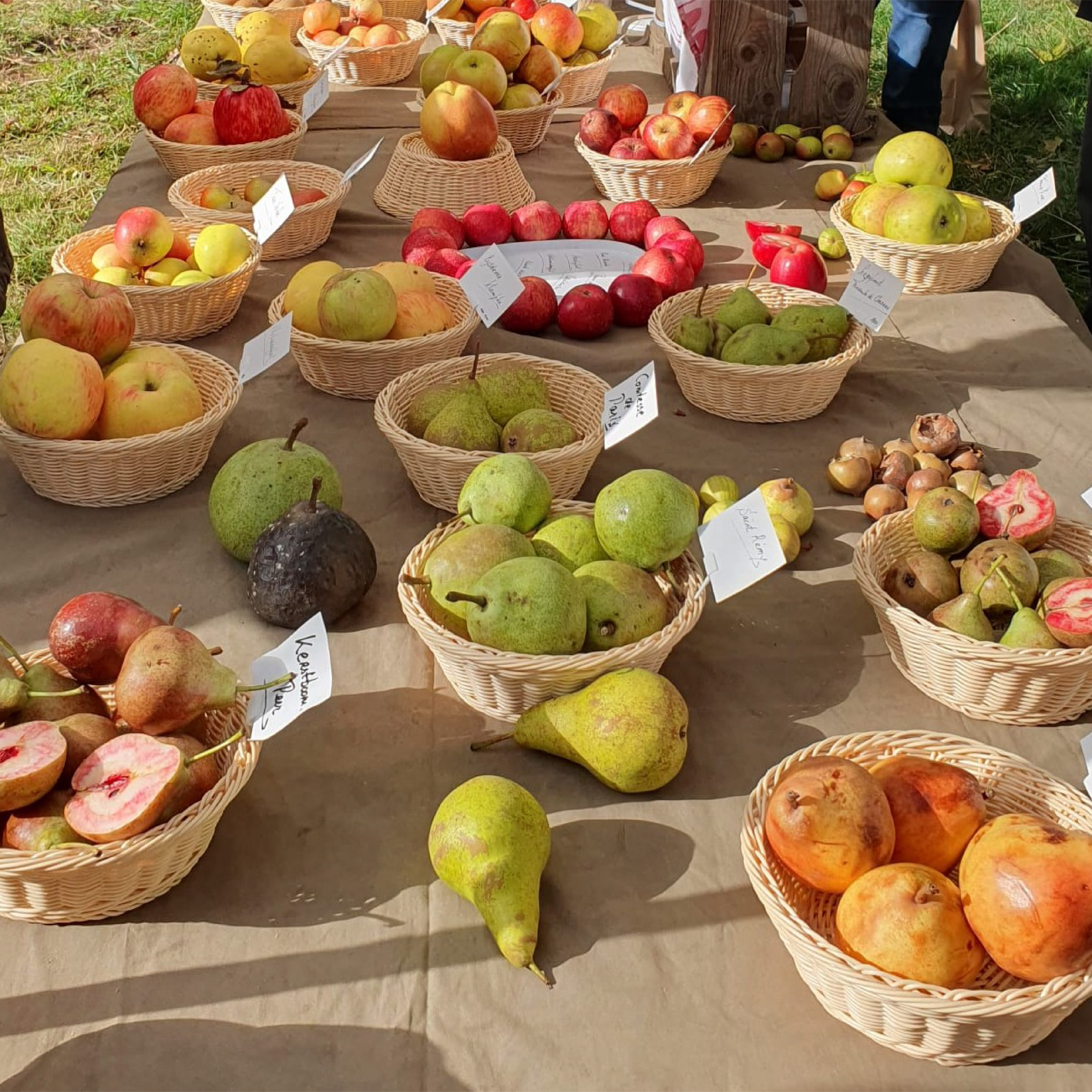 Educatieproject boeren voor de natuur