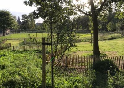 Vlindertuin Ridder Hoen Park